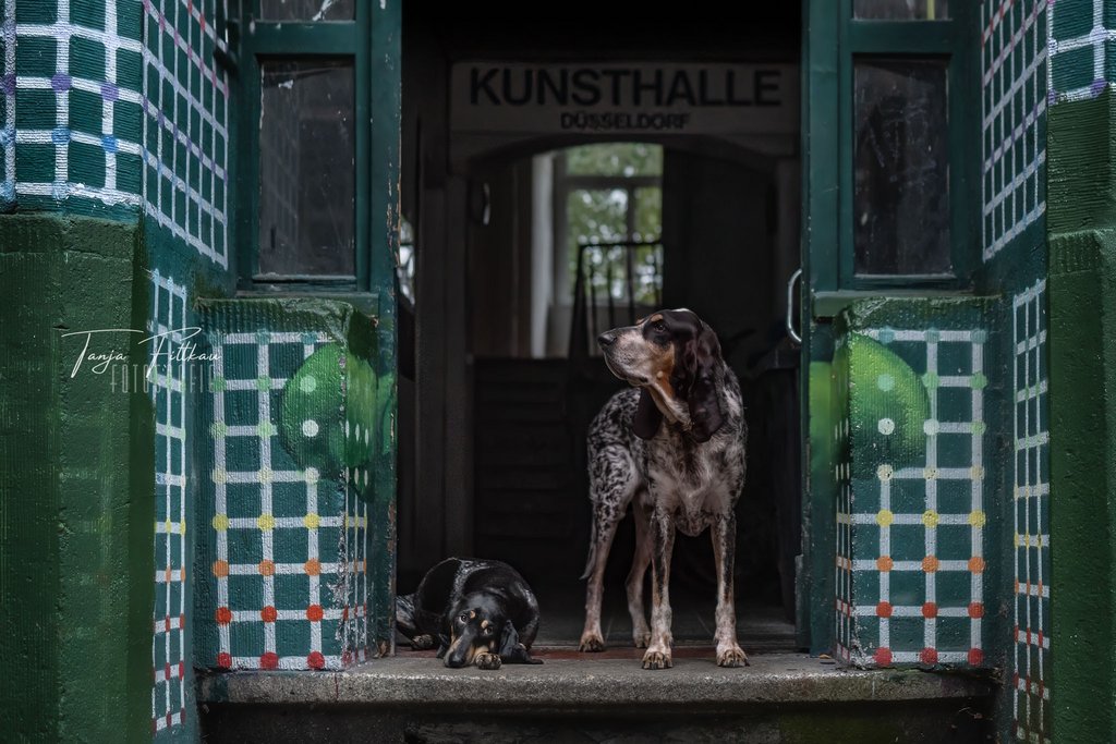 W_TFL00179-Bearbeitet.jpg W_TFL00179-Bearbeitet.jpg
