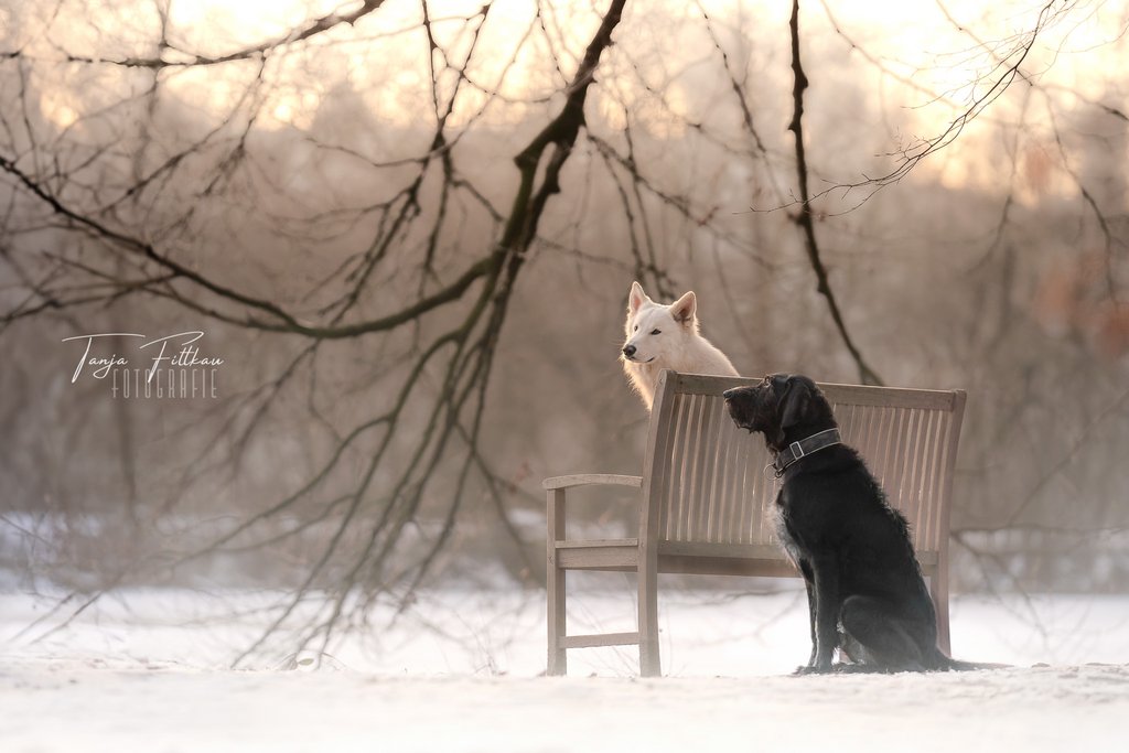 Februar W_TFL03594-Bearbeitet.jpg