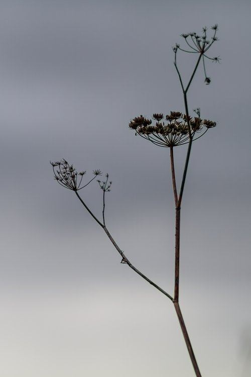 O_IMG_7214-Verbessert-RR.jpg O_IMG_7214-Verbessert-RR.jpg