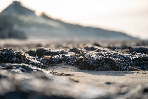 O_DSC09361.jpg O_DSC09361.jpg