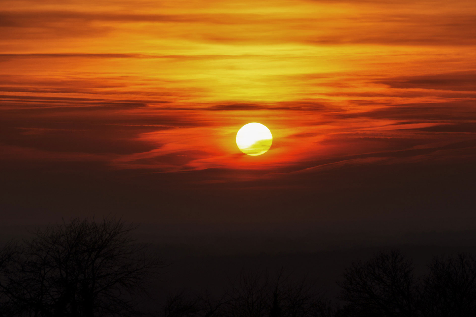 20111121-DSC01218.jpg
