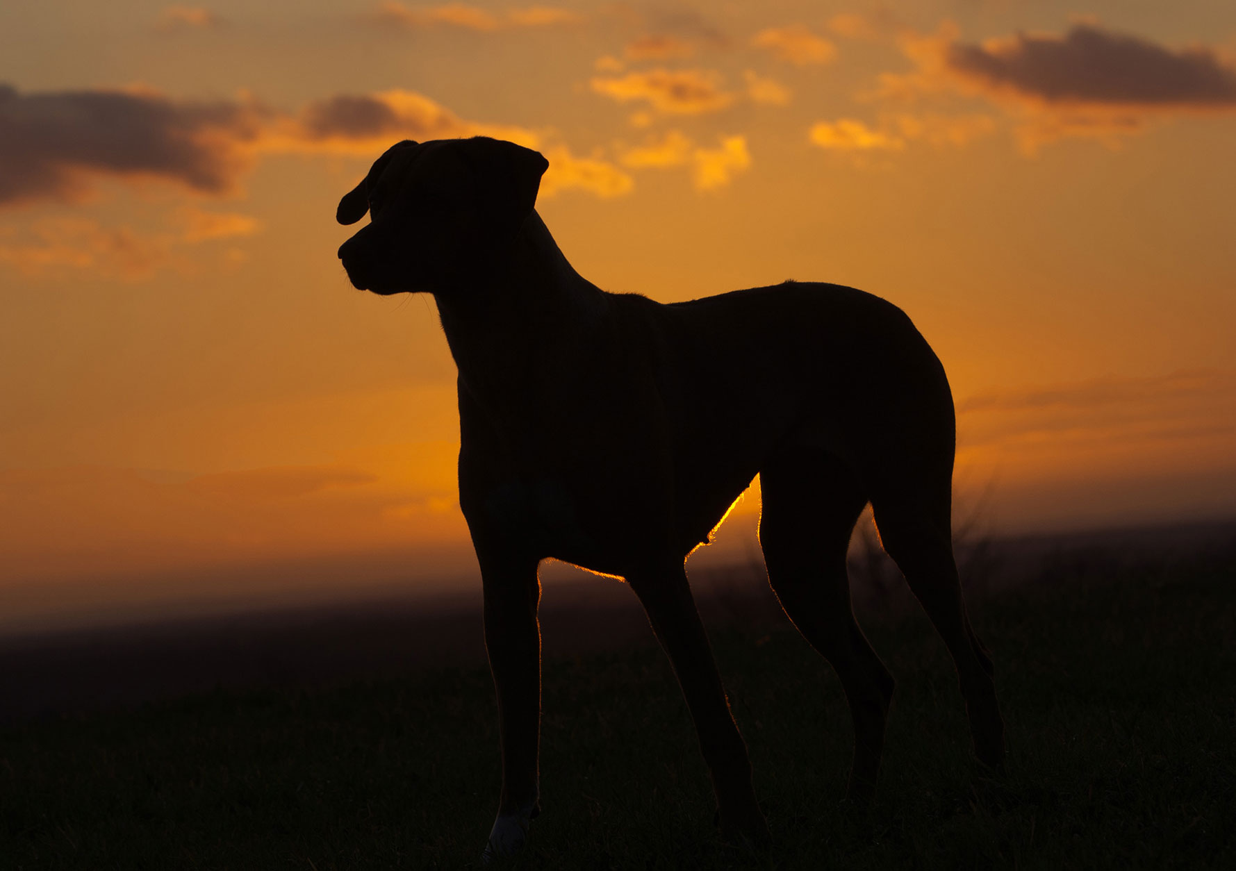20111212-DSC01475-Bearbeitet.jpg