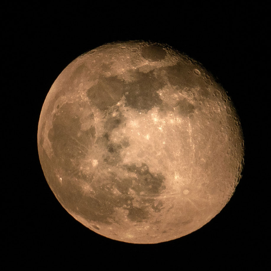 20190322-DSC02598.jpg
