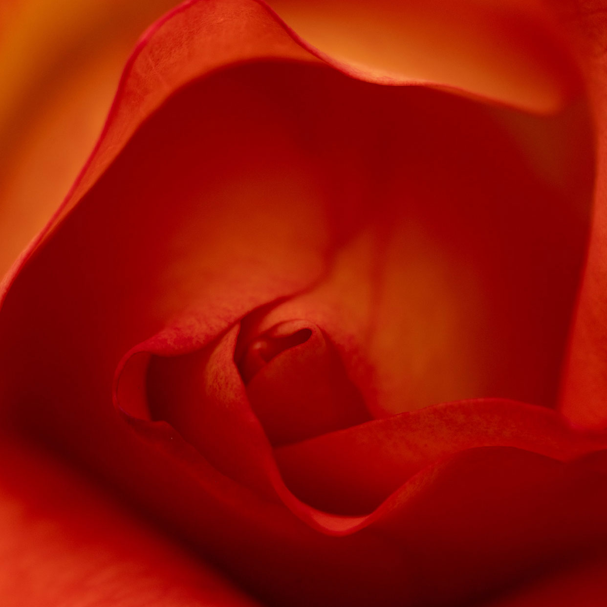 20190610-DSC03082.jpg