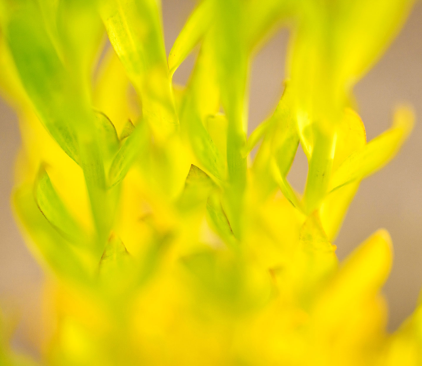 20190610-DSC03150-Kopie.jpg