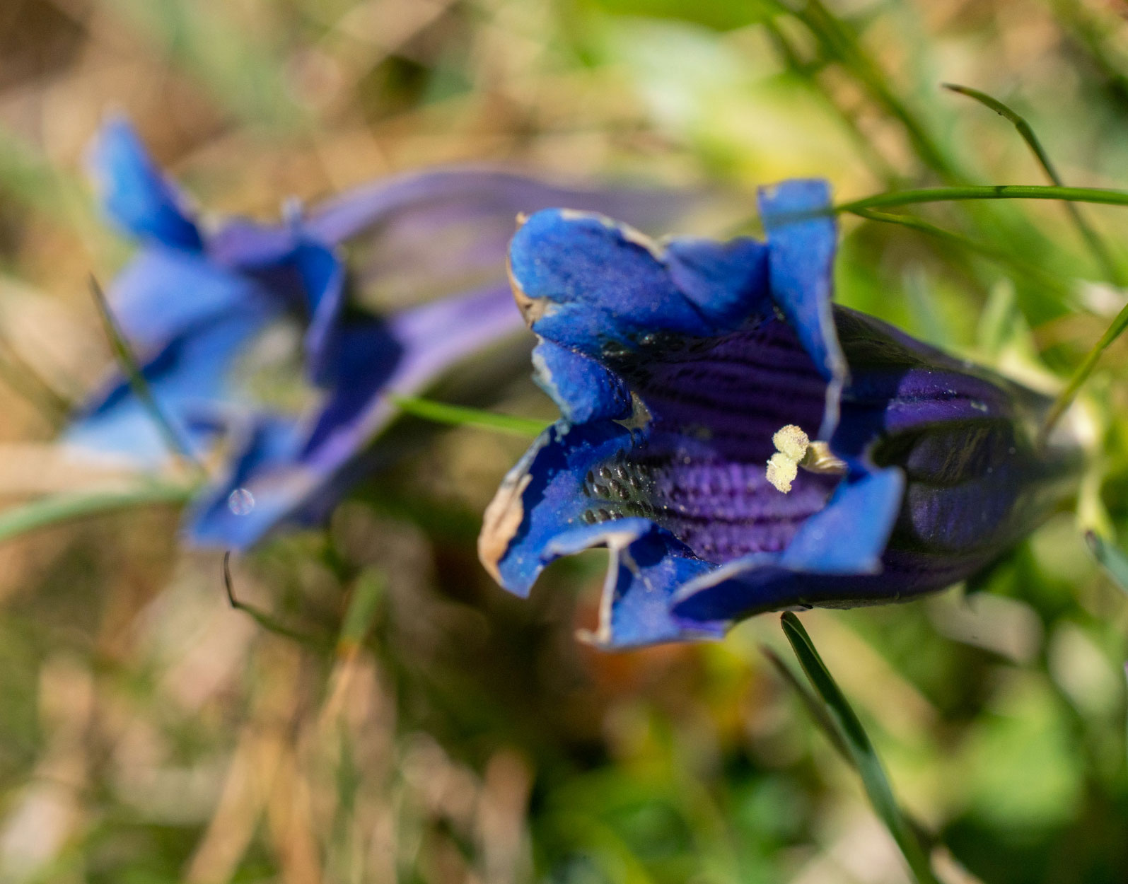 20190716-DSC03802.jpg