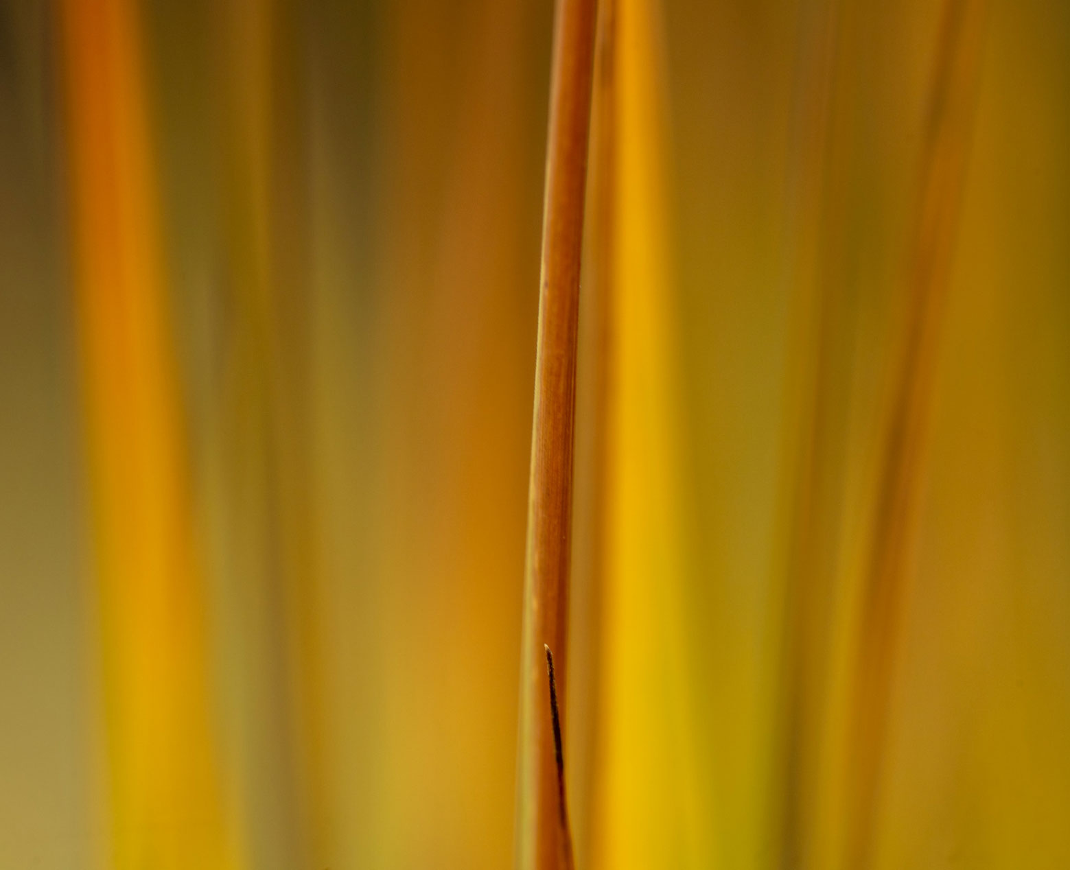 20190925-DSC06187.jpg
