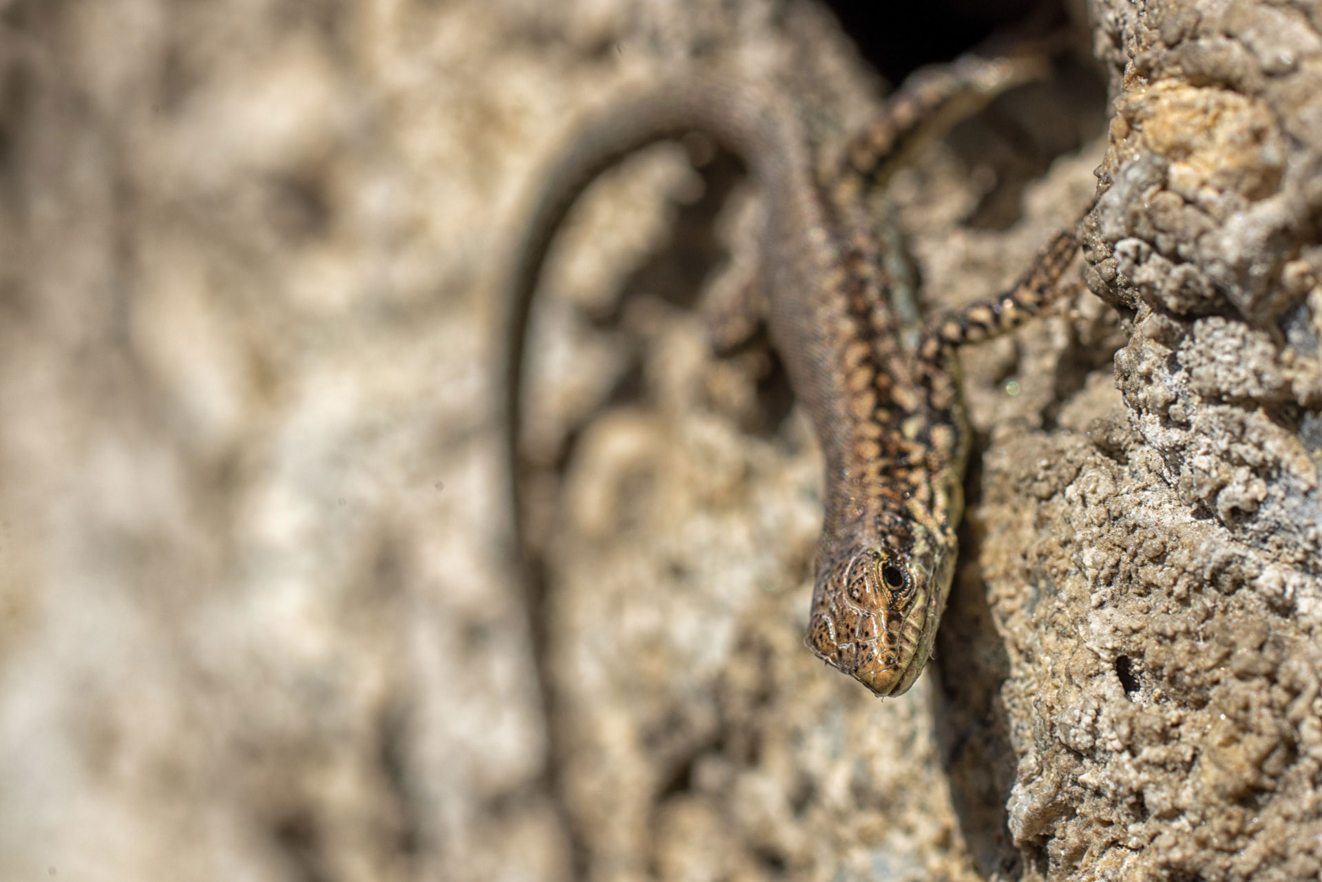 20190930-DSC06479-Bearbeitet.jpg