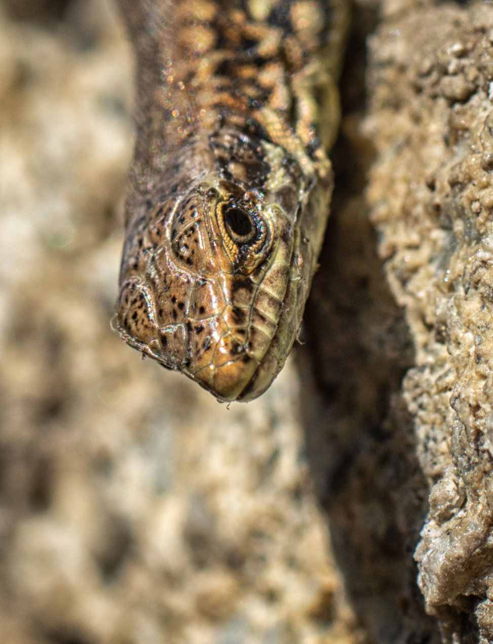 20190930-DSC06480-Bearbeitet.jpg