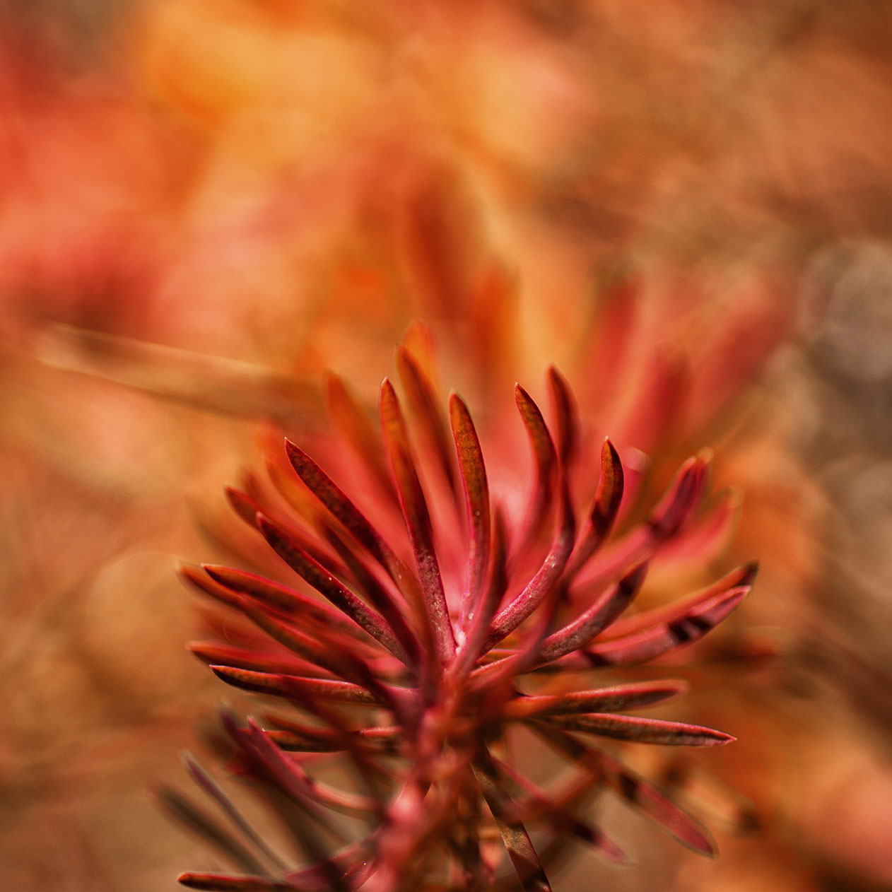 20191001-DSC06521.jpg