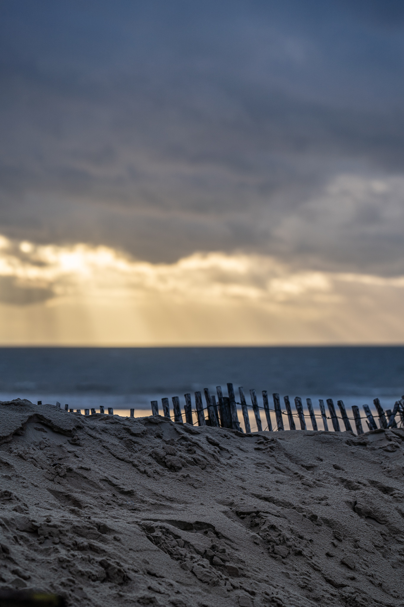 20240104-TFL03212.jpg 20240104-TFL03212.jpg